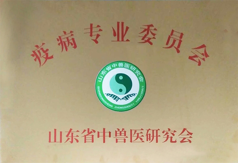 資質(zhì)榮譽(yù)