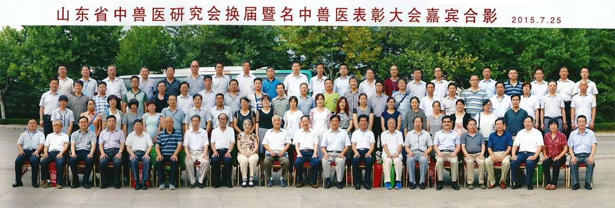 資質(zhì)榮譽(yù)